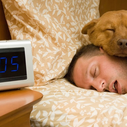 Benefits of getting enough sleep.