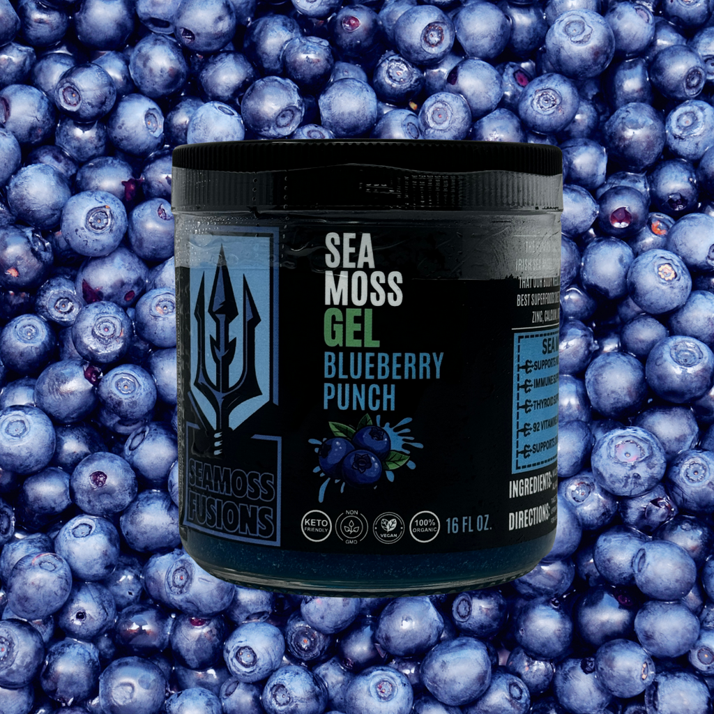 BLUEBERRY PUNCH SEA MOSS GEL — Sea Moss Fusions